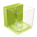 The Aquatic Oasis: Innovative Self-Cleaning Mini Fish Tank