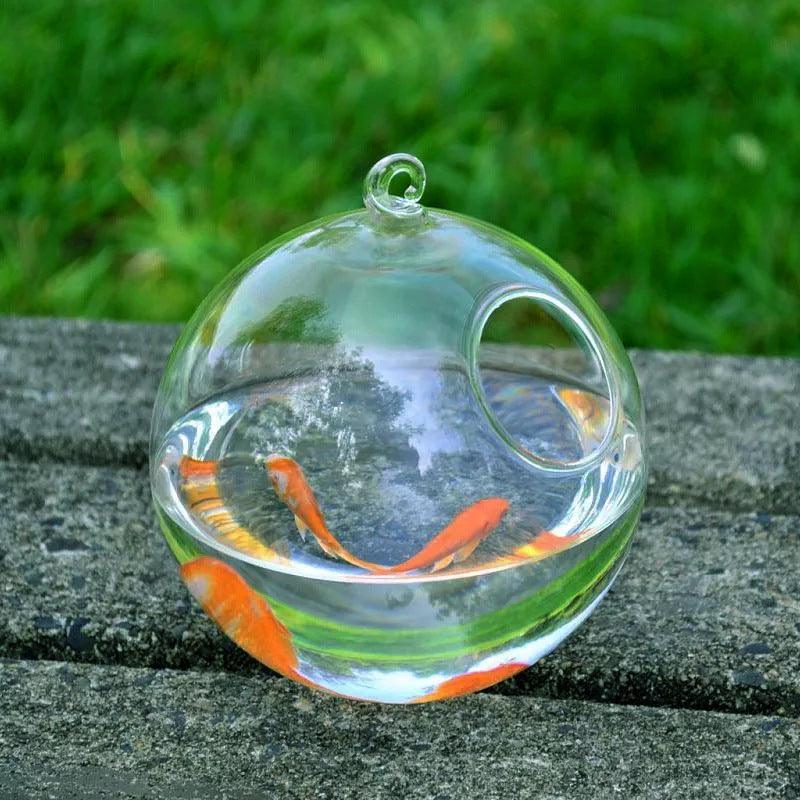 Mini Glass Ball Fish Tank With Hanging Bracket