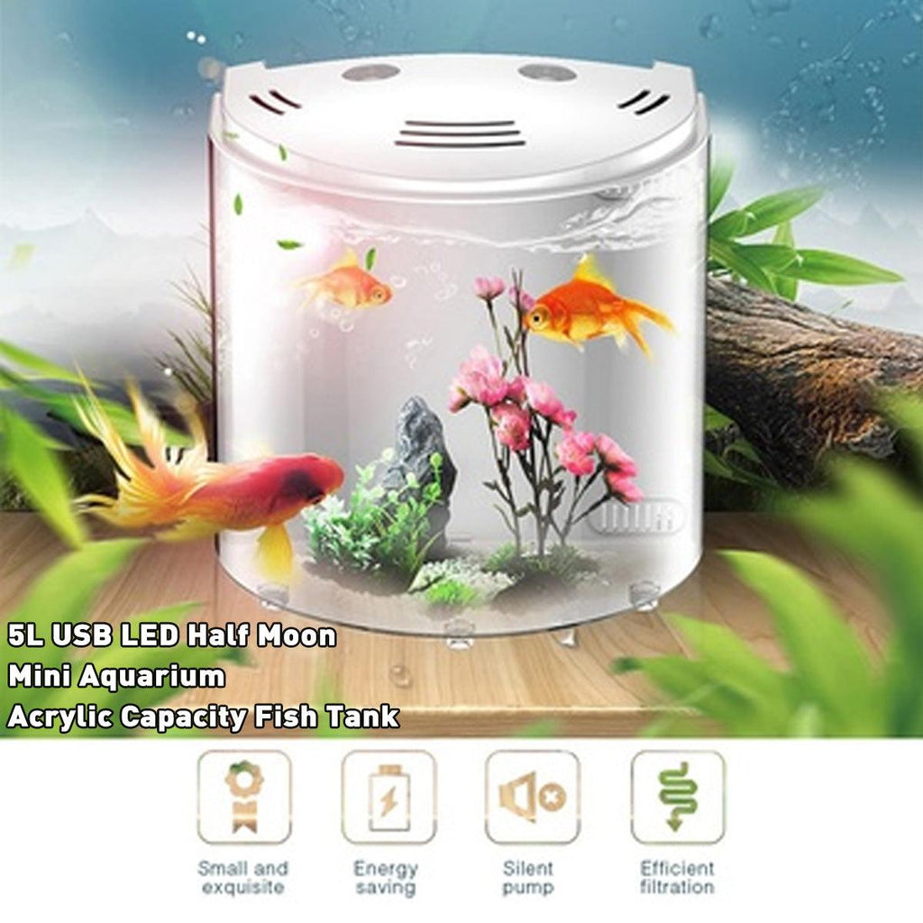 Eco-Aquaview: The Ultimate Ecological Acrylic Fish Tank